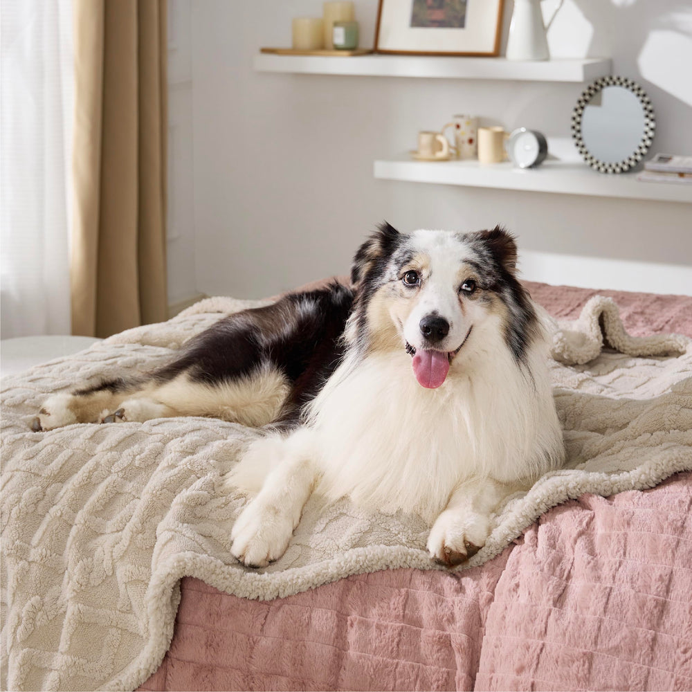Manta Bedsure impermeable para perro protege sofá y muebles.