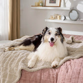 Manta Bedsure impermeable para perro protege sofá y muebles.