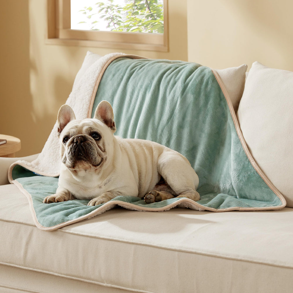 Bedsure manta para perros impermeable con Sherpa, ideal para mantener seco el sofá y cómodo a tu mascota