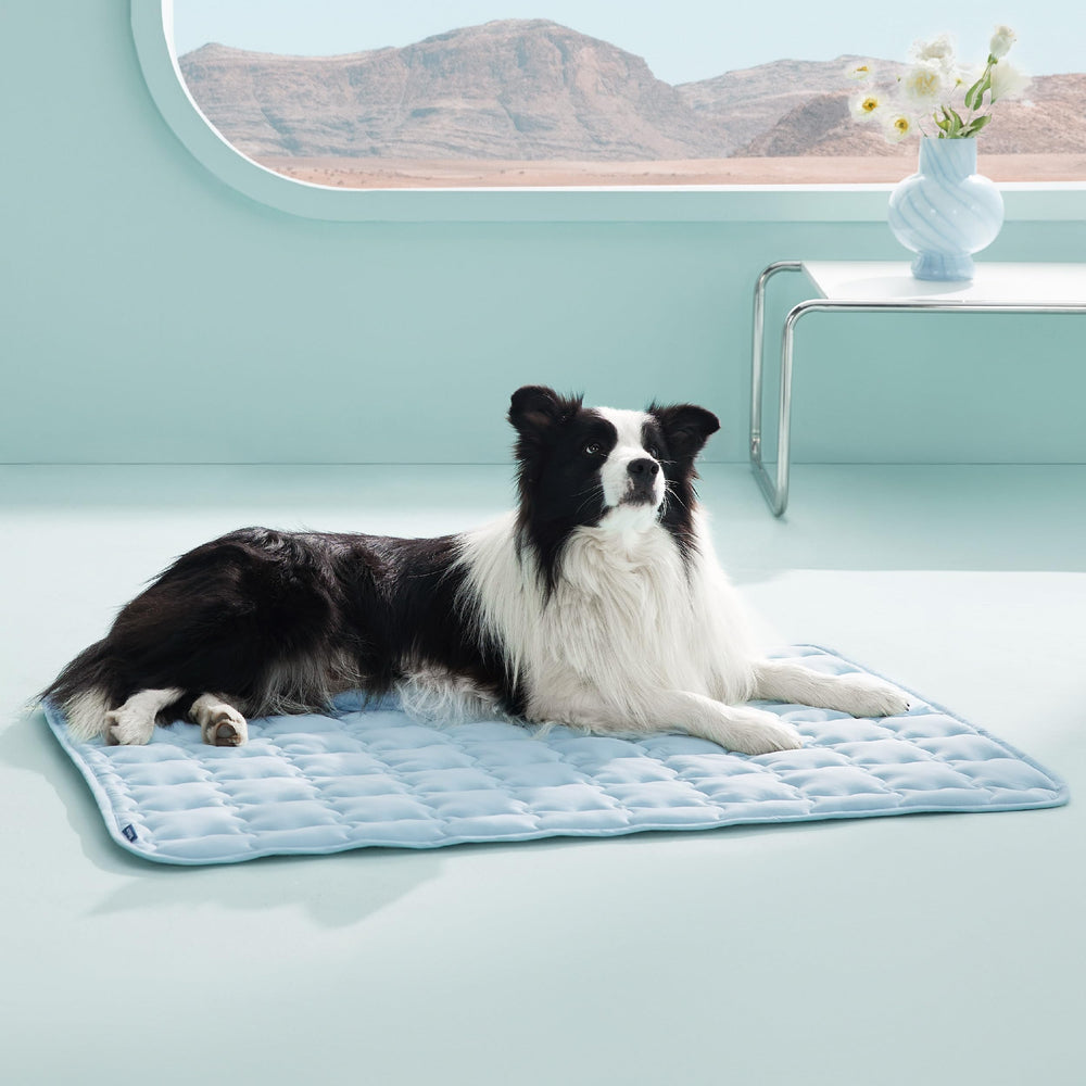 Bedsure tapete enfriante para perro grande 41x28, descanso cómodo en verano.