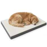 Bedsure XL cama para perro con funda lavable, ideal para limpieza rápida.