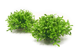 BEGONDIS plantas artificiales para acuario, entorno-natural, colores estables