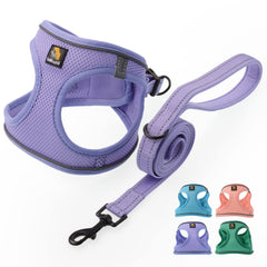 BELLA Y PAL arnés de paso lavanda XS, fácil de colocar para perros pequeños.