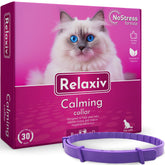 Collar Beloved Pets para gato visto de frente, promueve relajación y confort
