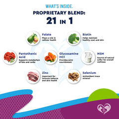 Beloved Pets multivitamínico líquido, uso diario posible apoyo a la energía y vitalidad