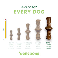 Benebone Zaggler, hecho en EE. UU., calidad robusta.