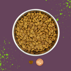 Benevo Cat: etiqueta vegana aprobada, confianza para una dieta vegetariana para gatos.