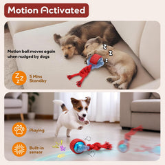 BENTOPAL juguete-perro uso-interiores-exteriores ideal para alfombras y césped