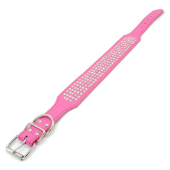 Berry Pet collar ajustable con cinco ojales para un ajuste seguro