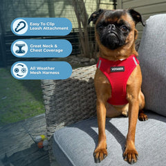Best Pet Supplies Voyager arnés de paso malla de aire ligera para climas cálidos.