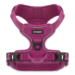 Voyager arnés para perro frente, ideal para paseos seguros y control