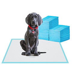 BESTLE almohadillas de entrenamiento 24x24 con 5 capas para mayor absorción.