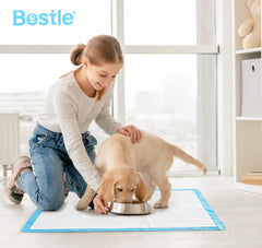 BESTLE almohadillas de secado rápido absorben de inmediato, ideal para entrenamiento limpio.