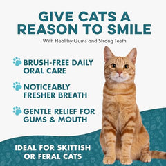 BestLife4Pets: aliento-fresco-gatos, contribuye a un aliento más agradable.