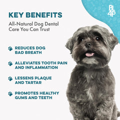 BestLife4Pets-dientes-sanos-perro: sonrisa más limpia y cómoda.