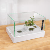 BETAZOOER Turtle-1, vidrio transparente, vista frontal, opción decorativa elegante.