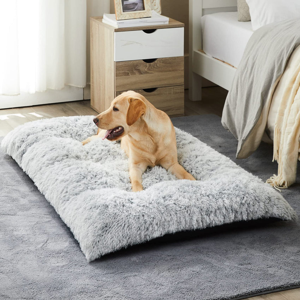 Cama BFPETHOME para perros grandes con superficie de felpa suave para descansar cómodo.