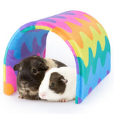 Bienbee tunel conejo arcoiris: túnel colorido para juego seguro