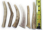 Big Dog Antler Chews: conjunto de 6 piezas para perros pequeños, masticación segura y duradera.