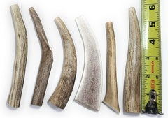 Big Dog Antler Chews: conjunto de 6 piezas para perros pequeños, masticación segura y duradera.