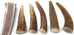 Big Dog Antler Chews: asta natural sin conservantes para masticación confiable.