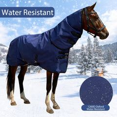 La capucha desmontable de la manta BIGANTTOW para caballos se adapta a condiciones cambiantes.