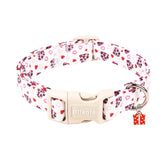 Bilsole collar con corazón estampado para perros, ideal para fotos y paseos.