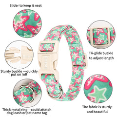 Bilsole collar con anilla D para etiqueta, práctica y segura.