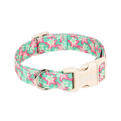 Bilsole collar con hebilla plástica duradera, fácil de poner y quitar.