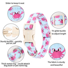 Collar Bilsole verano cangrejo: ajuste seguro con cierre práctico para vida diaria.