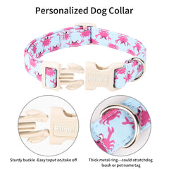 Collar Bilsole verano cangrejo: modelo para perros durante paseos con estilo.