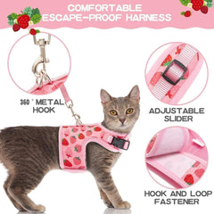 Diseño transpirable de BINGPET, comodidad durante paseos prolongados.
