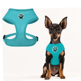 BINGPET arnés sin tirones para perro pequeño con malla transpirable y cómodo.
