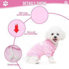 BINGPET sudadera capucha, diseño atractivo para paseos con estilo.