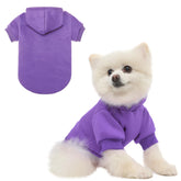 Sudadera BINGPET para perro con capucha y forro felpa cálido.