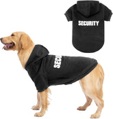 Sudadera con capucha BINGPET vista frontal, abrigando al perro en días fríos.