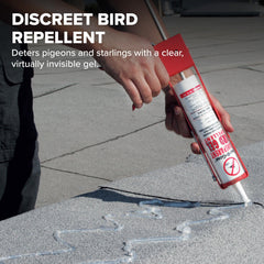 Bird B Gone gel transparente, se integra al entorno para evitar el perchado de aves.