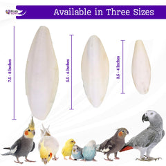 Birds LOVE cuttlebone fácil de colgar en la jaula