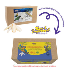 Birds LOVE cuttlebone sin aditivos para cuidado seguro de las aves