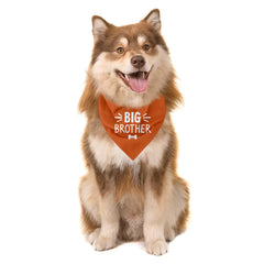 BKDJPC Bandana naranja para perro, enfoque en color para sesiones de fotos.