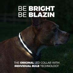 Collar Blazin con USB recargable para paseos nocturnos y salidas largas.