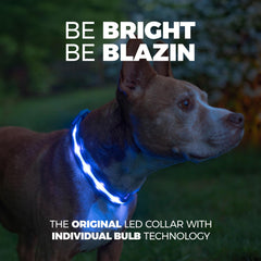 Collar Blazin iluminación de 360 grados para ver al perro desde cualquier ángulo.