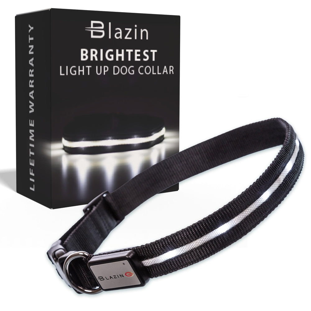 Collar Blazin con luz LED para perro en la oscuridad, mejora la visibilidad.