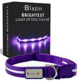 Collar Blazin iluminado con iluminación 360° para mayor visibilidad nocturna.