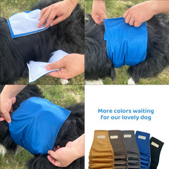 Conjunto BLIWINPT multicolor para perro macho, cinco piezas para uso diario.