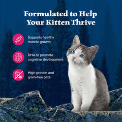 Blue Buffalo Wilderness DHA para desarrollo cognitivo de gatitos
