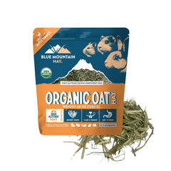 Blue Mountain Hay heno de avena orgánico, frente: ideal para forage diario y digestión suave.