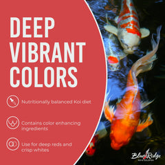 Blue Ridge Koi Mejorador Color Alimento 50lb colores vivos en los koi.