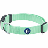 Blueberry Pet Essentials collar ajustable para perro mediano en verde pastel, ideal para paseos diarios.