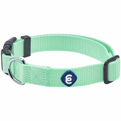 Blueberry Pet Essentials collar ajustable para perro mediano en verde pastel, ideal para paseos diarios.